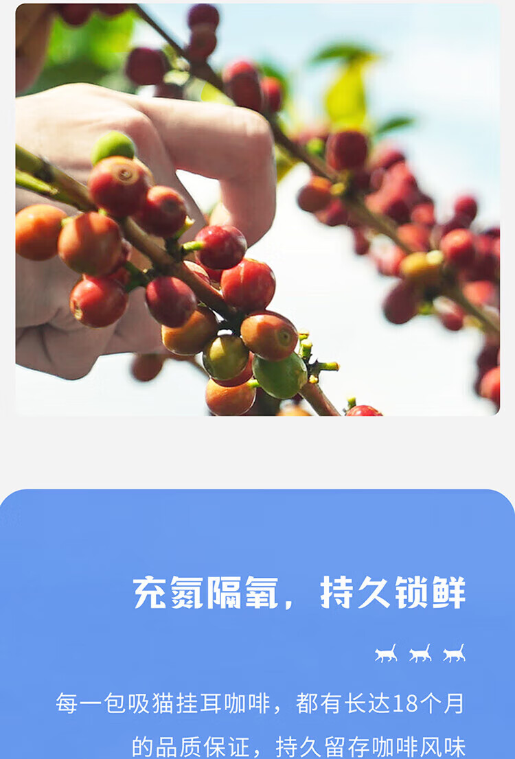 瑞幸咖啡（luckincoffee）吸猫系列挂耳咖啡 10g*6包RX0003