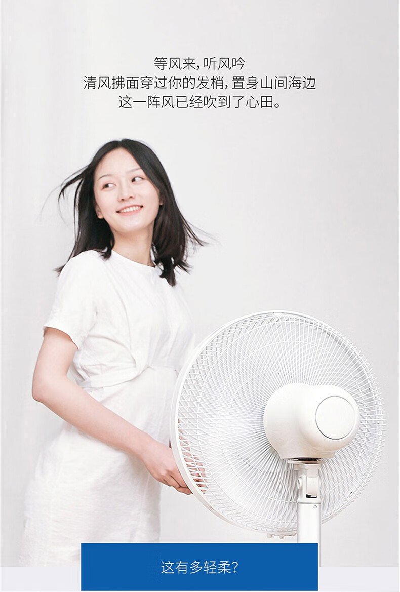 艾美特家用落地扇直流电风扇卧室客厅办公室立式电扇摇头风扇 FS40125R
