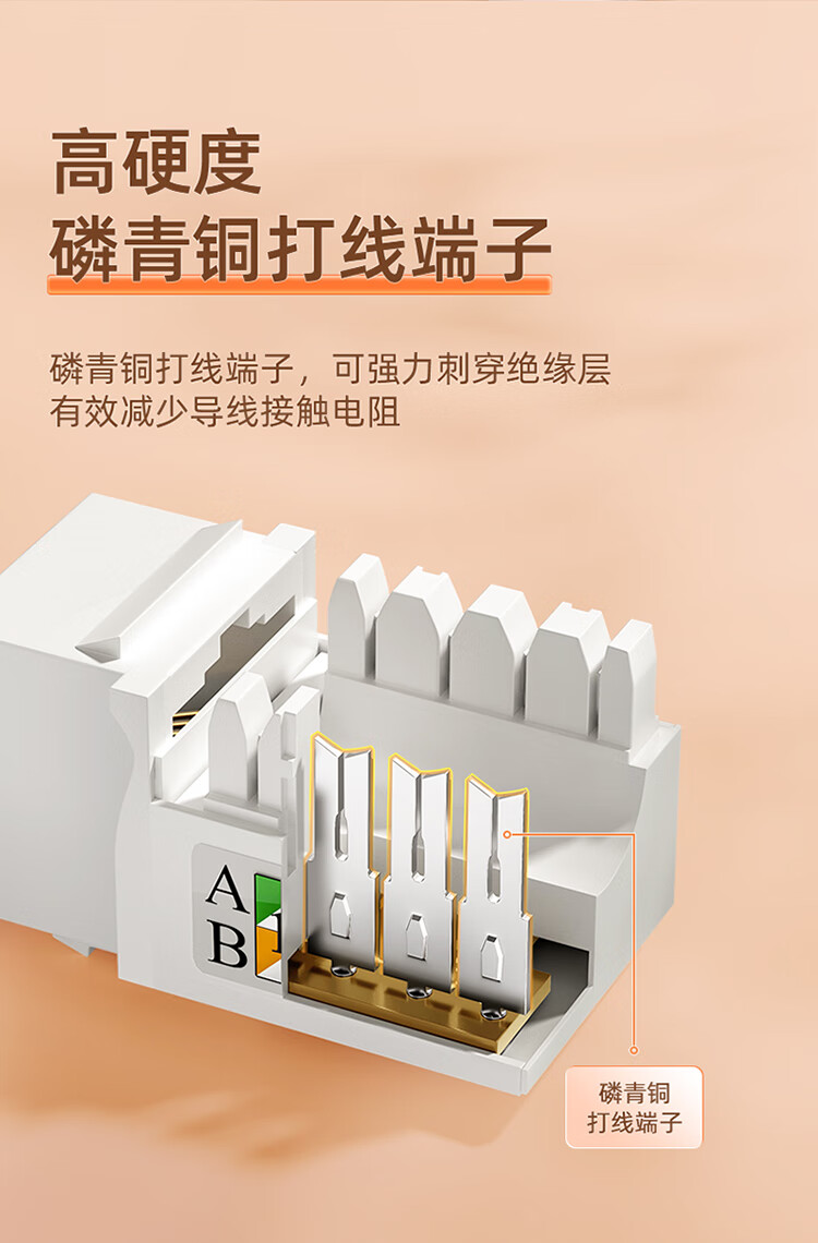 SAMZHE 山泽六类网络模块CAT6千兆网线插座面板模块RJ45水晶头母座网线镀金连接头(十个装)BLMK10X