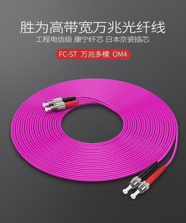 胜为（shengwei）工程电信级万兆光纤跳线 FC-ST网线多模双芯30米 OM4 网络收发器尾纤光纤连接线 FTFO-2300
