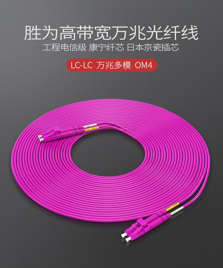 胜为（shengwei）工程电信级万兆光纤跳线 LC-LC网线多模双芯OM4 网络收发器尾纤光纤连接线 10米 FLLO-2100