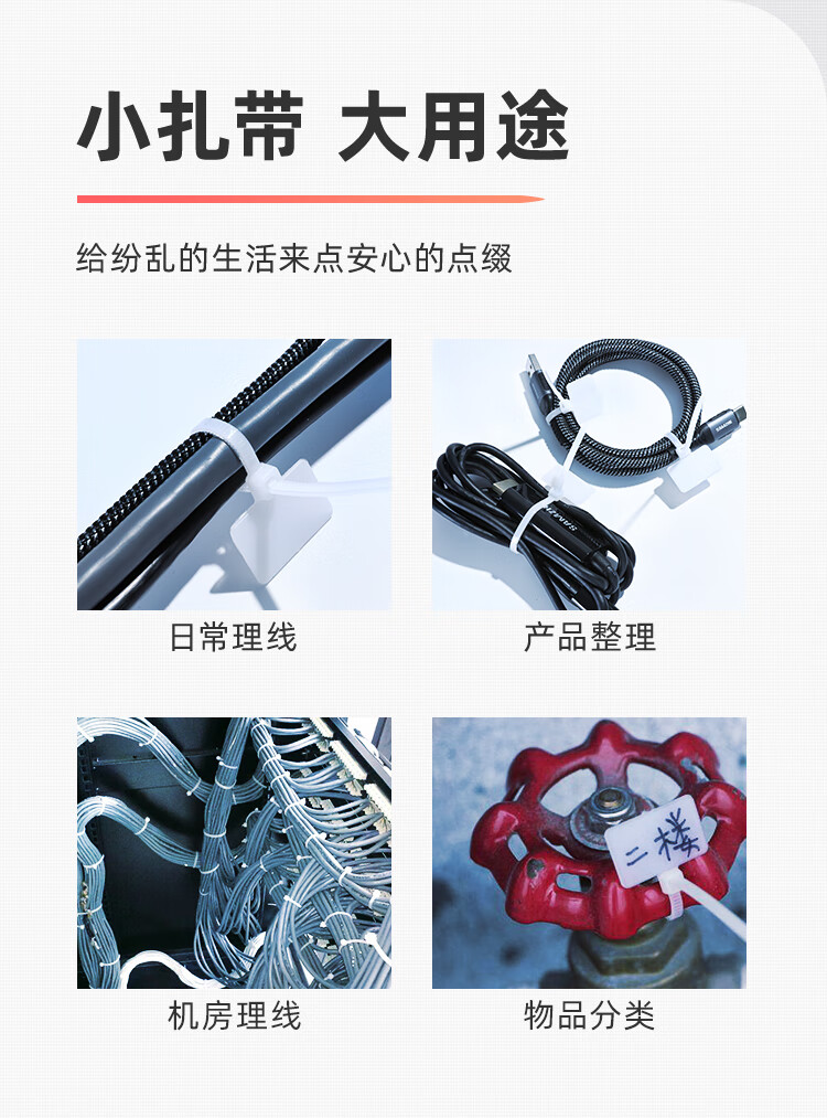 SAMZHE 山泽扎带多功能理线带绑带专业自锁式2.5*100mm透明尼龙标签束线带约200根/包ZD-06