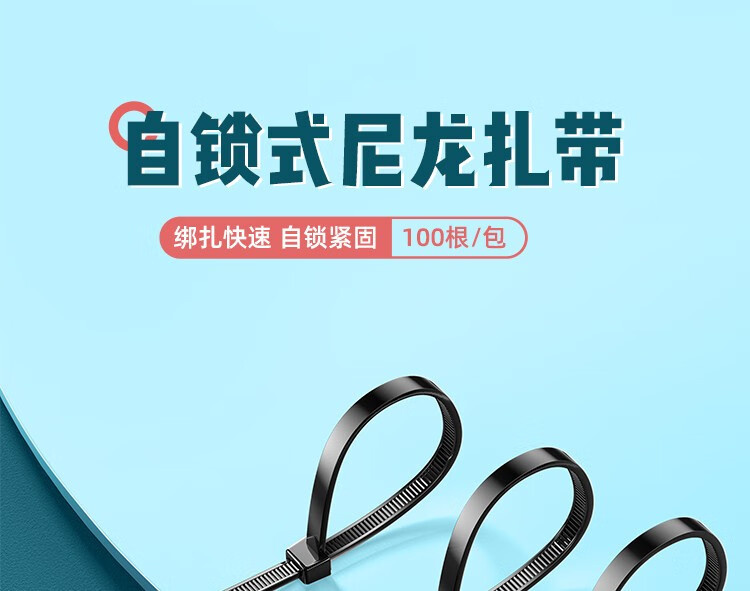SAMZHE 山泽自锁式尼龙扎带大号4.6*300mm黑色理线带束线绑带100根/包ZD-55