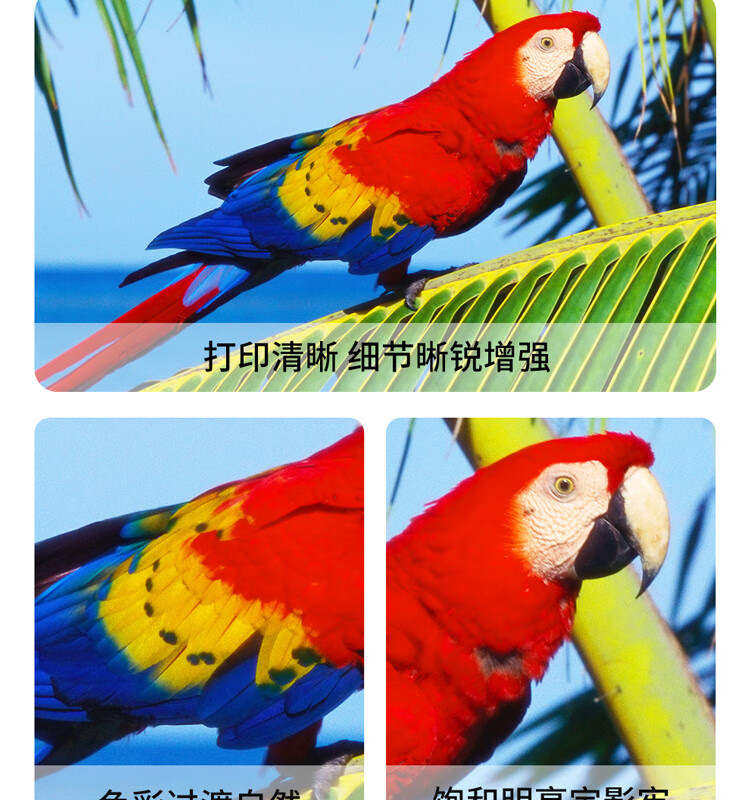 天色（TIANSE）CTL-300适用奔图CM7105DN硒鼓PANTUM CP2506DN PLUS彩色打印机墨盒粉盒【2000页】黑色 标准版