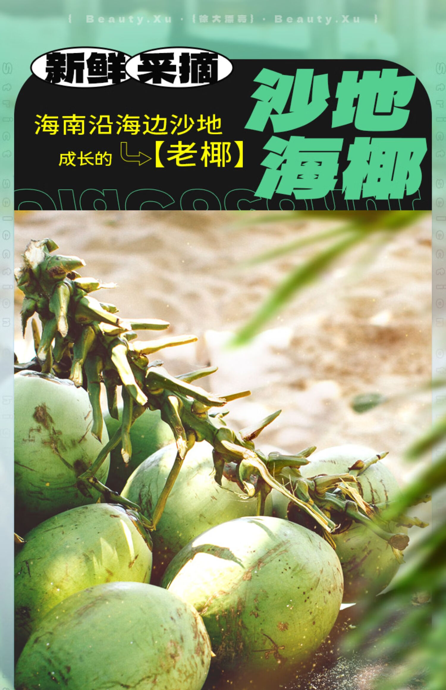 南国 椰浆椰汁奶茶咖啡伴侣 厚椰乳粉300g*2（袋）