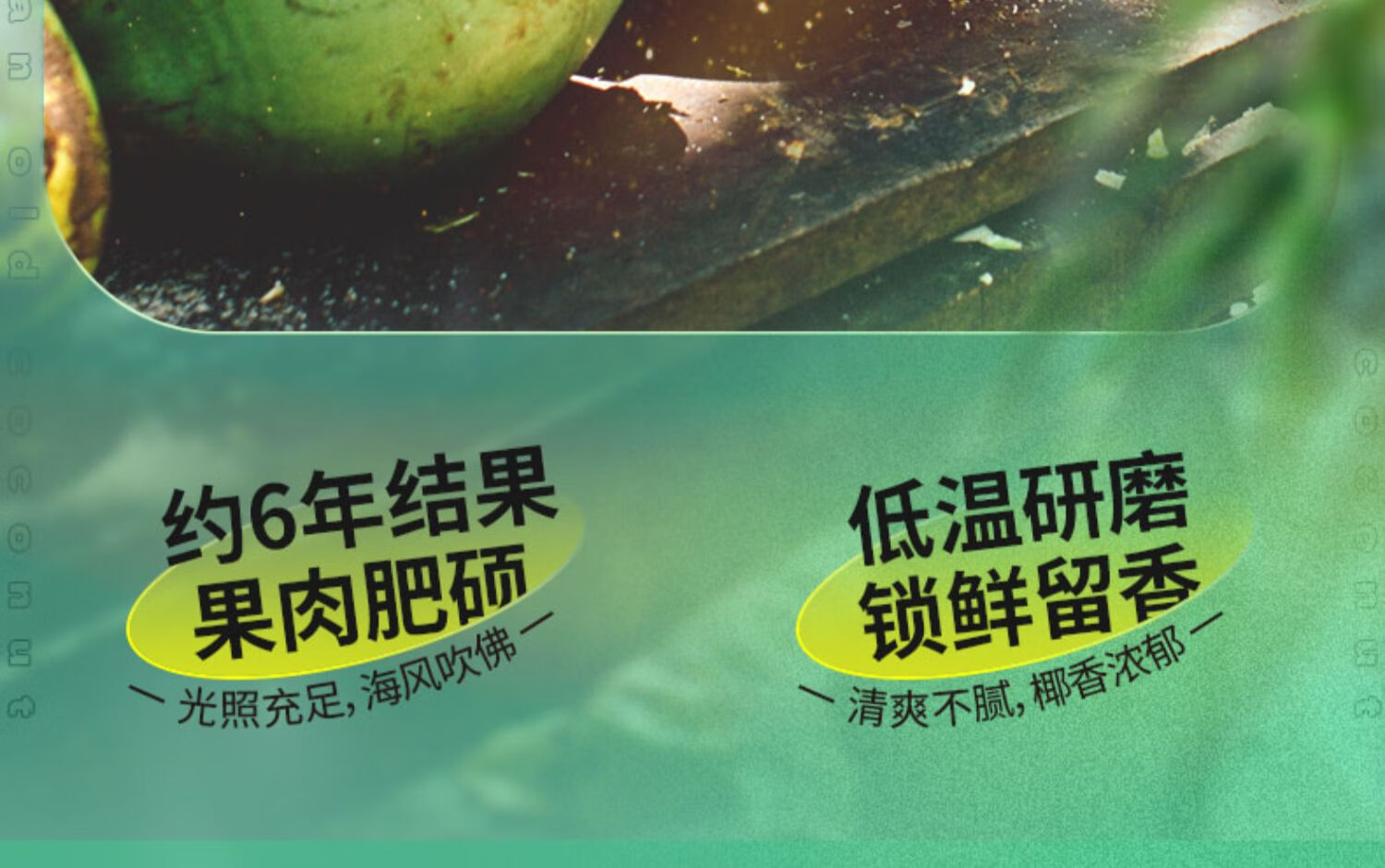南国 椰浆椰汁奶茶咖啡伴侣 厚椰乳粉300g*2（袋）