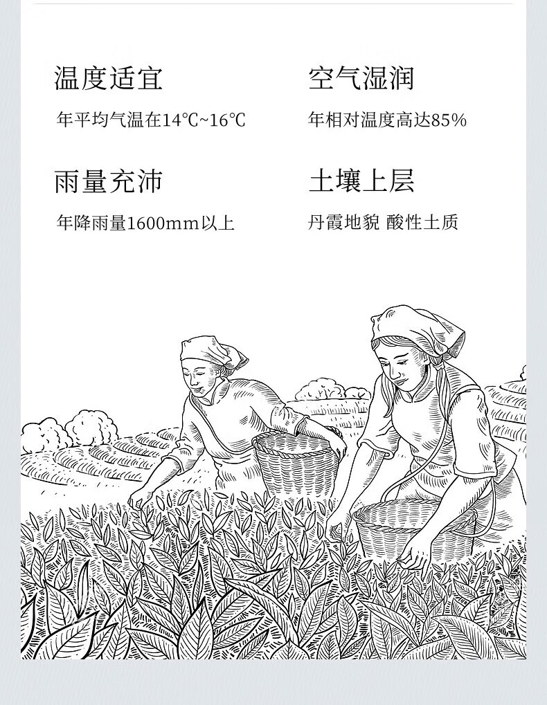 吴裕泰 中华老字号茉莉花茶 浓香新茶送礼送长辈 福礼茉莉花茶150g/纸罐