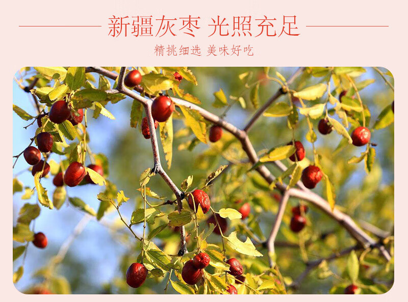佰食优 休闲食品炒货员工福利 新疆灰枣250g*2袋