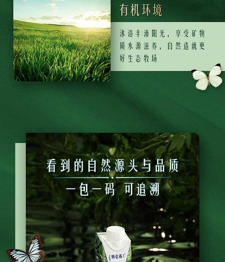 蒙牛 营养早餐 特仑苏纯牛奶梦幻盖250ml*10