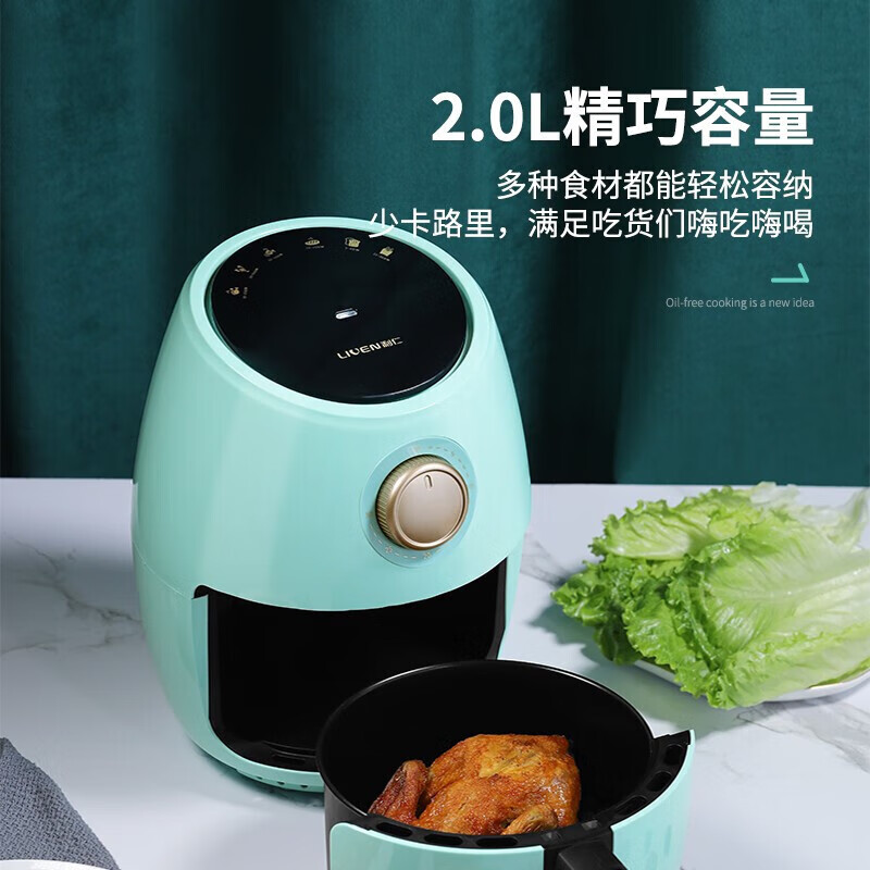 利仁（Liven）空气炸锅家用电炸锅 2L 煎炸锅 薯条机 LPKZ-28