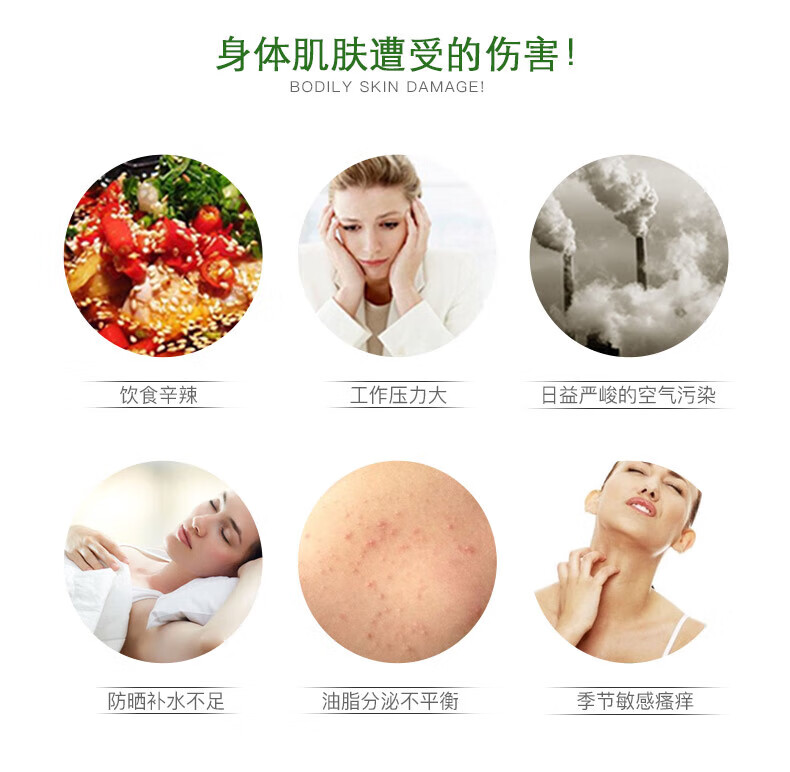 HERBACIN 经典组合（紧肤乳液200ml+小甘菊新经典护手霜75ml）