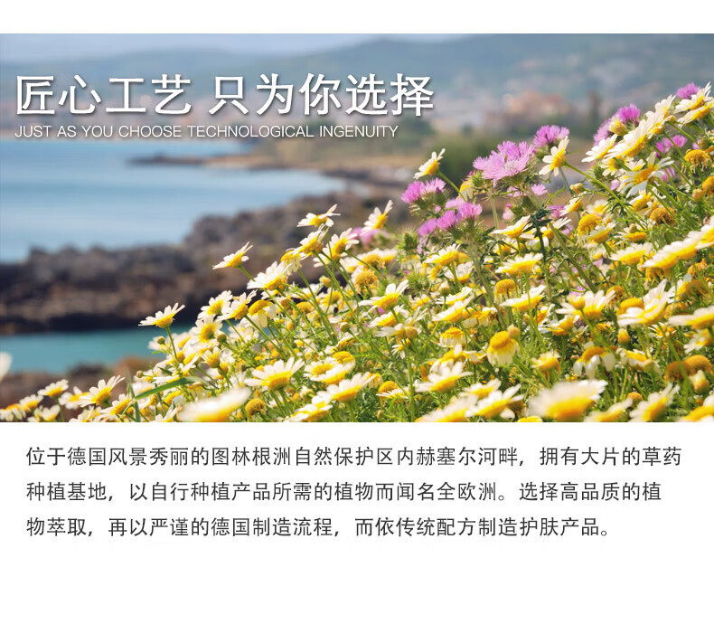 HERBACIN 经典组合（紧肤乳液200ml+小甘菊新经典护手霜75ml）