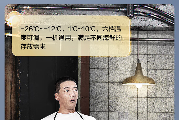 Midea521升 五面制冷商用大容积卧式单温囤货大冰柜 冷藏冷冻转换变温冷柜 BD/BC-521DKM(E)