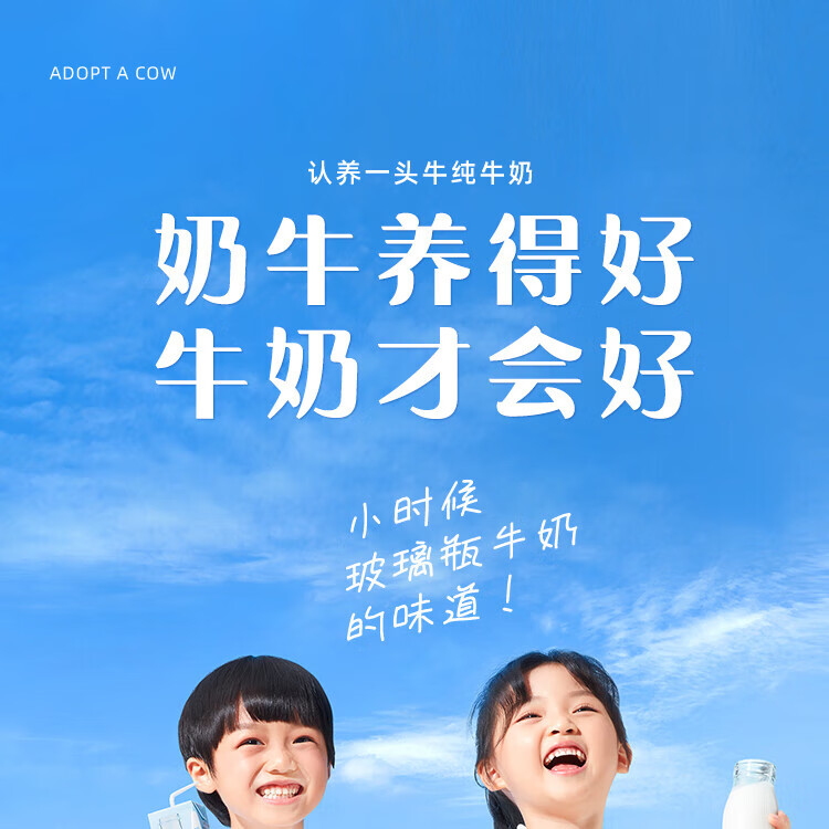 认养一头牛 纯牛奶 员工福利 企业内购 全脂纯牛奶250ml*12盒*2提