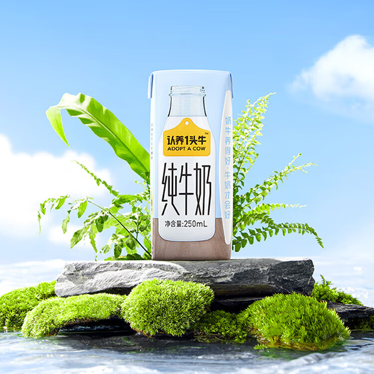 认养一头牛 纯牛奶 员工福利 企业内购 全脂纯牛奶250ml*12盒*2提