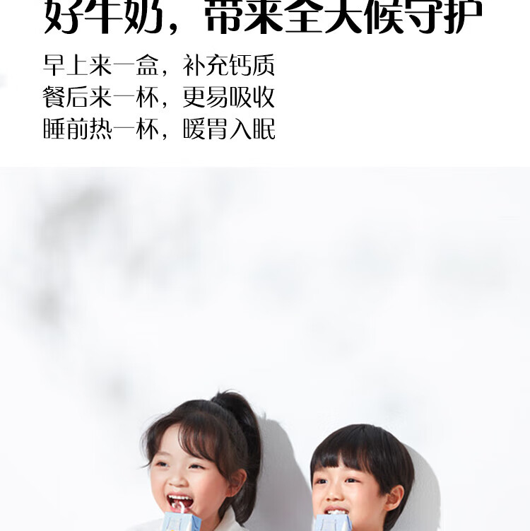 认养一头牛 纯牛奶 员工福利 企业内购 全脂纯牛奶250ml*12盒*2提