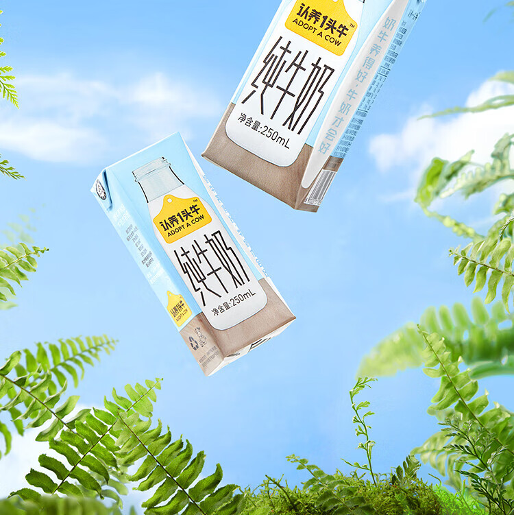 认养一头牛 纯牛奶 员工福利 企业内购 全脂纯牛奶250ml*12盒*2提