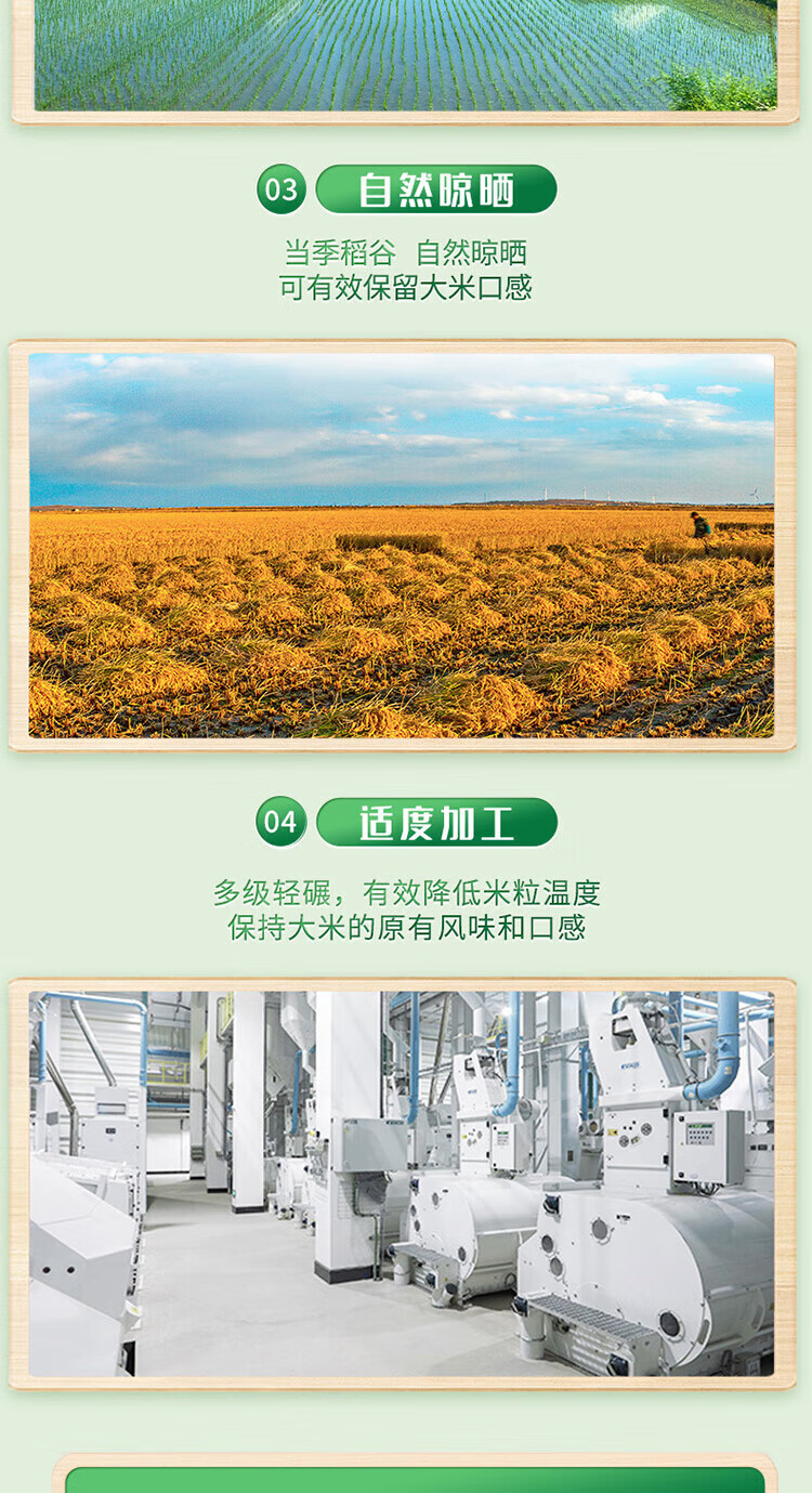 十月稻田  东北大米 粳米 长粒香大米5kg