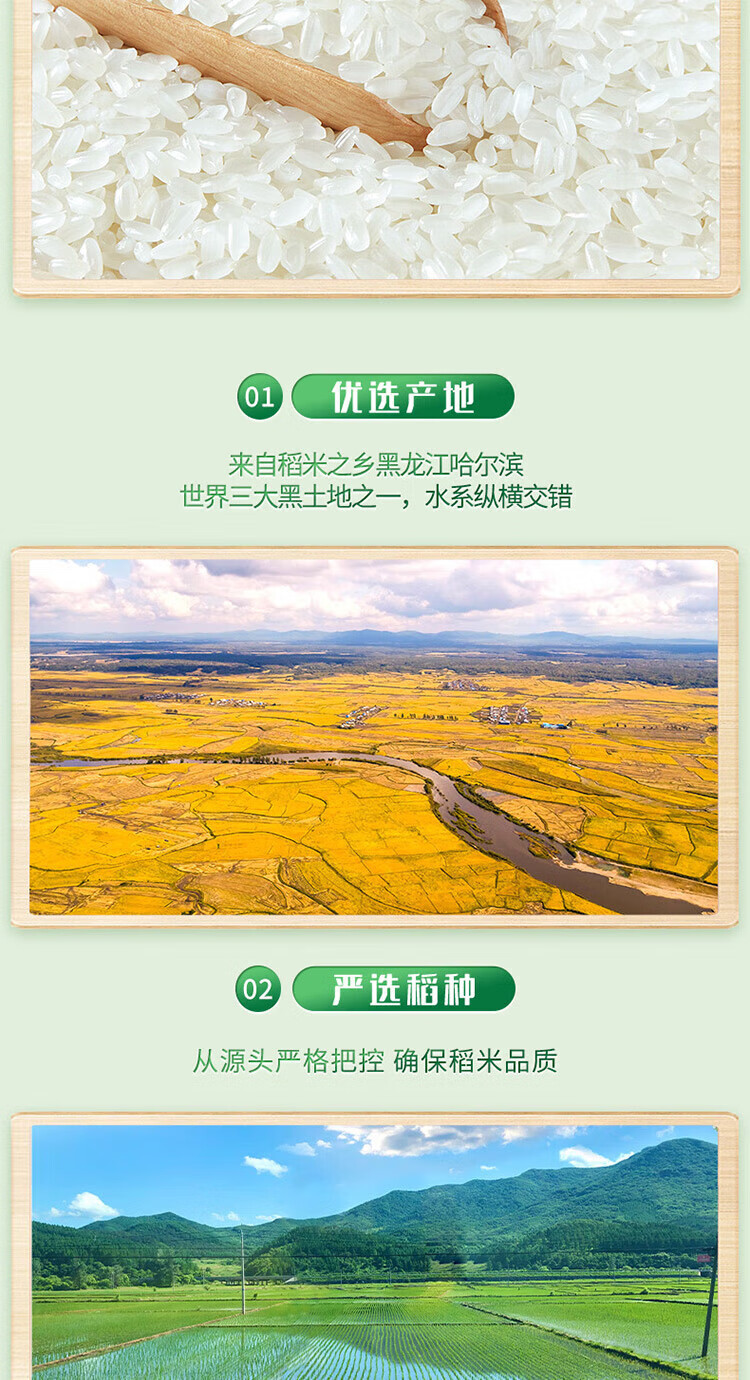 十月稻田  东北大米 粳米 长粒香大米5kg