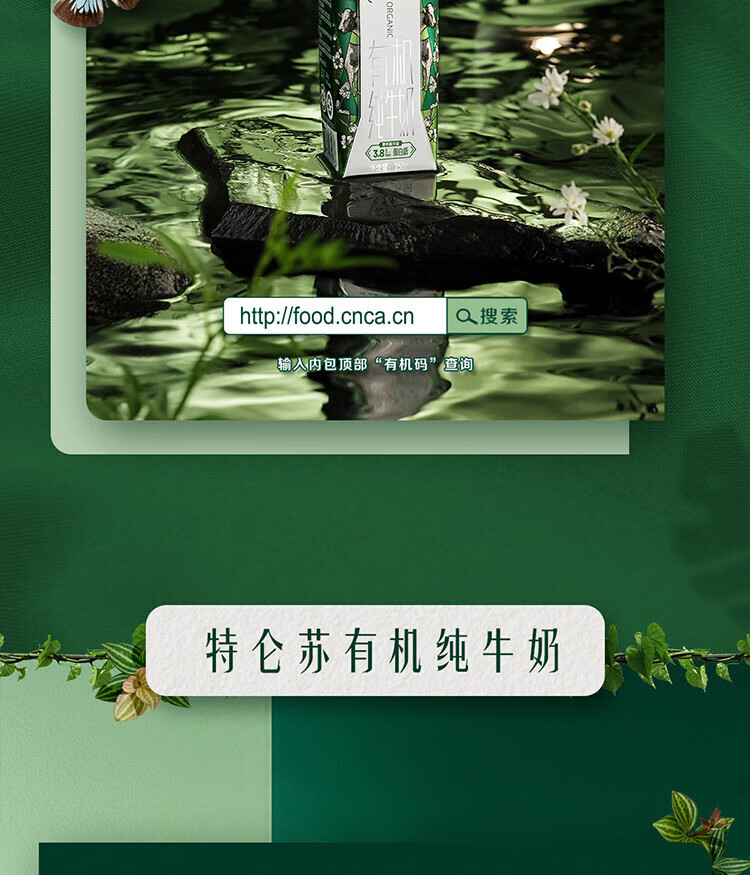 蒙牛 营养早餐  特仑苏  有机纯牛奶梦幻盖250ml*10
