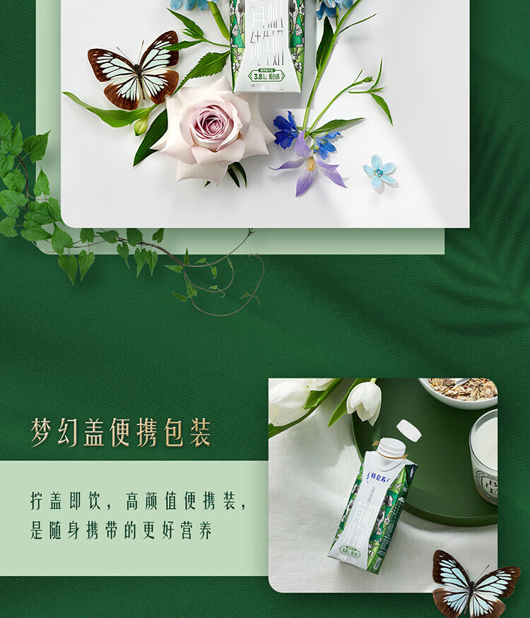 蒙牛 营养早餐  特仑苏  有机纯牛奶梦幻盖250ml*10