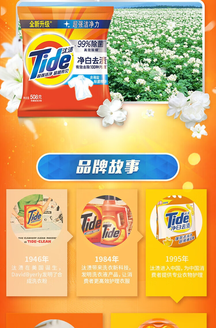 汰渍 净白去渍强效去油污除菌香味持久洗衣粉508g 2袋