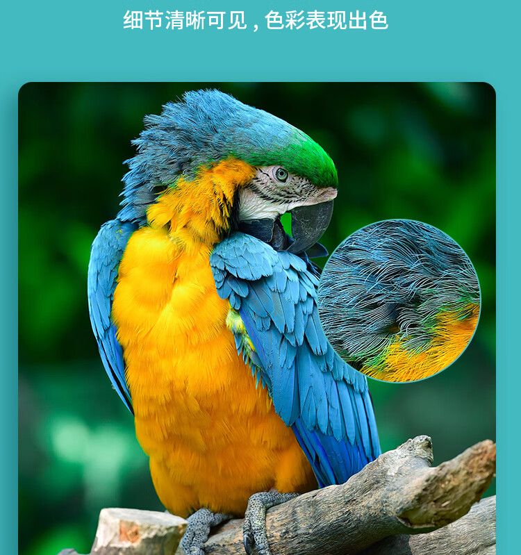 立思辰（LANXUM）A4彩色激光打印机GA3730CDN 网络打印