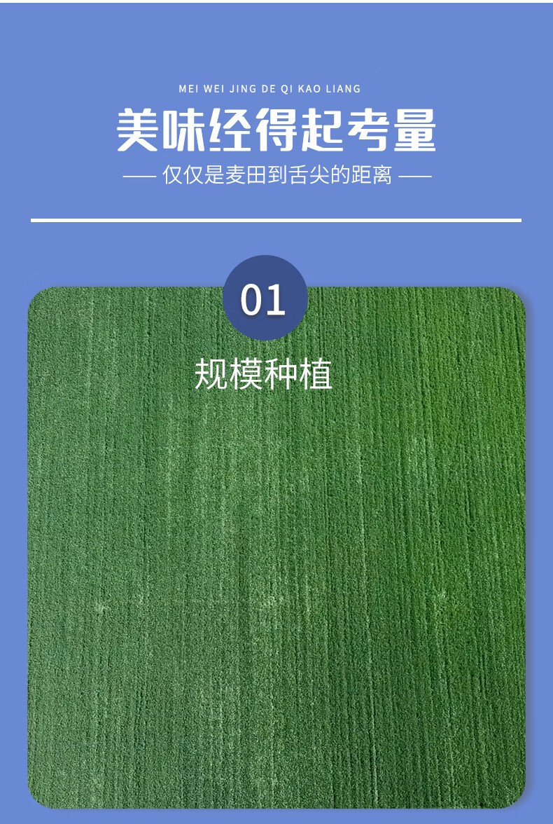 金沙河 面粉 白面 包子馒头松鹤贵族小麦粉 自发小麦粉（塑包）1kg