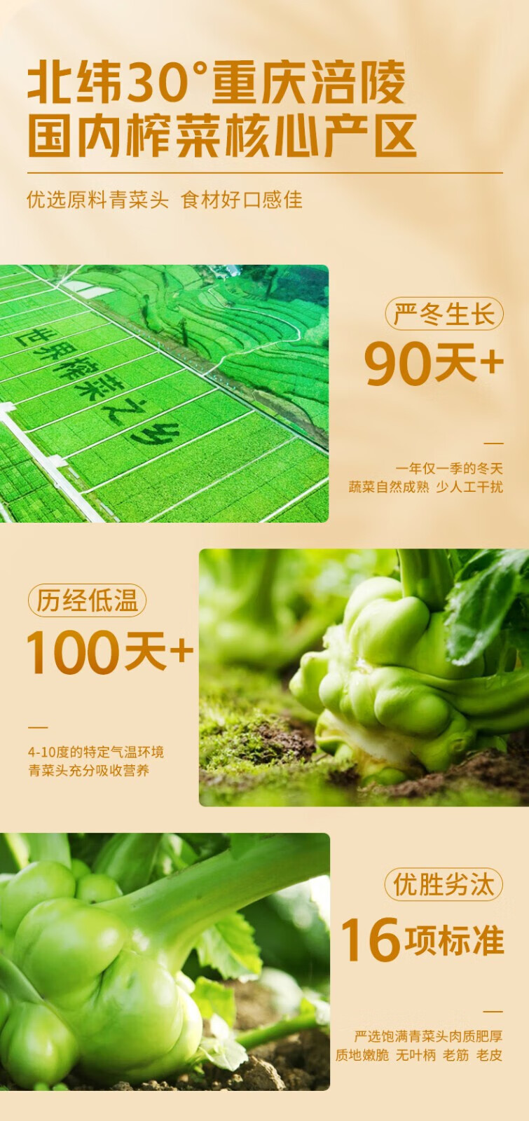 乌江 清爽鲜脆菜丝 不辣下饭菜清淡榨菜轻盐小菜咸菜重庆特产70g*10袋