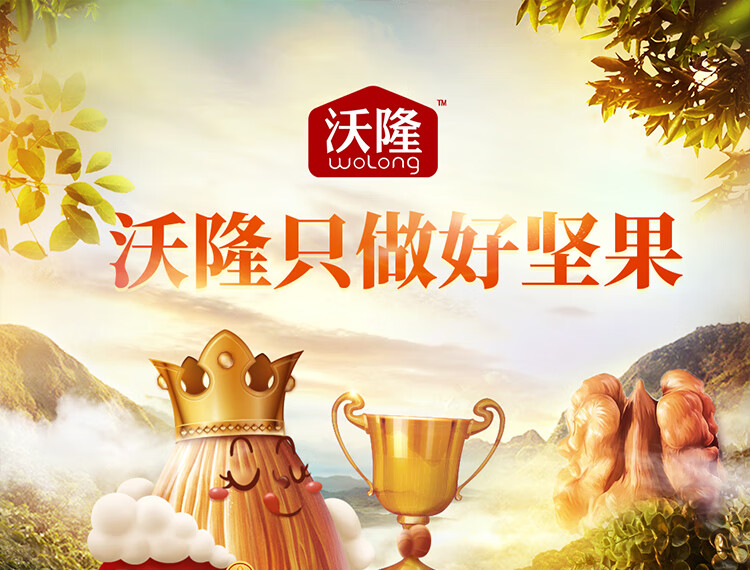 沃隆 休闲零食 炒货办公室小吃 每日坚果B成人款750g 25g*30袋