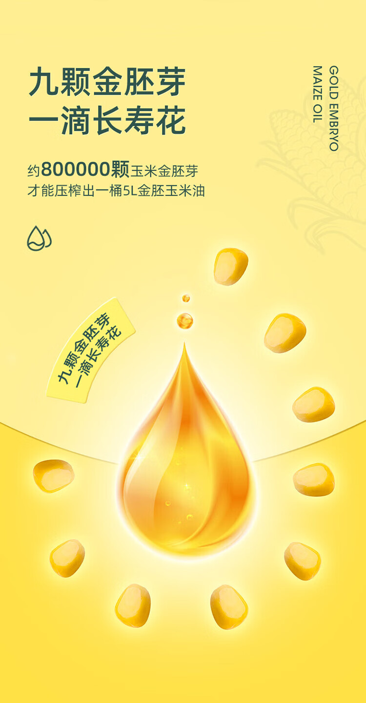 长寿花金胚玉米油（单桶）5L