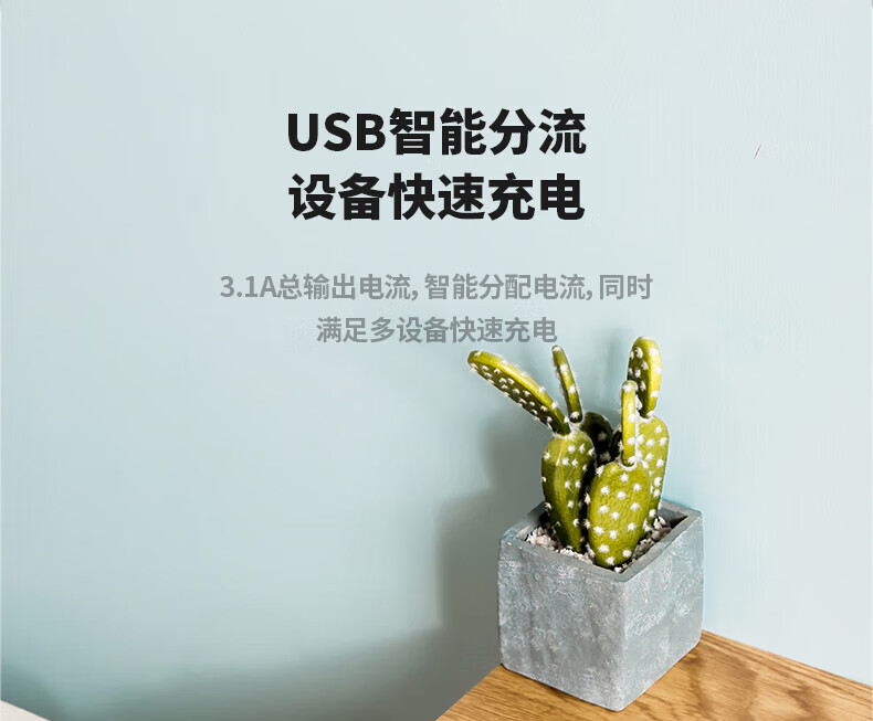 得力 (deli)USB智能插座 插排/插线板/接线板/排插/拖线板 3USB接口+6孔 总控2米 儿童保护门 18283