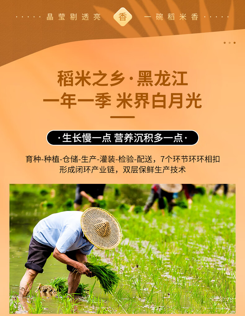首粮东北特产大米 公司团员工福利 有机大米5000g