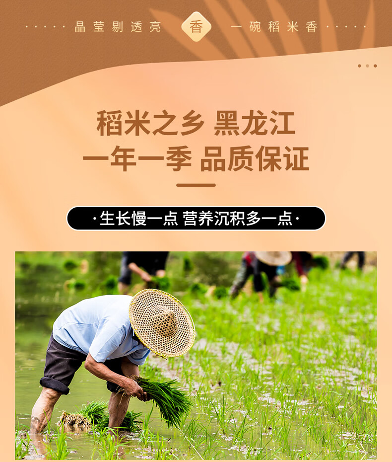 首粮东北特产大米 五常稻花香大米精装礼盒5000g