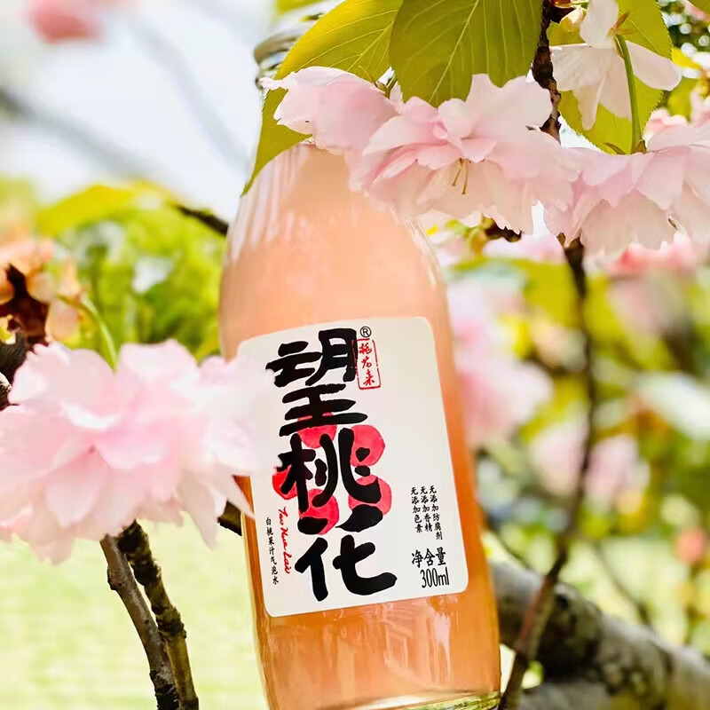 好望水泡水果汁饮料 望桃花 300ml*6瓶/箱