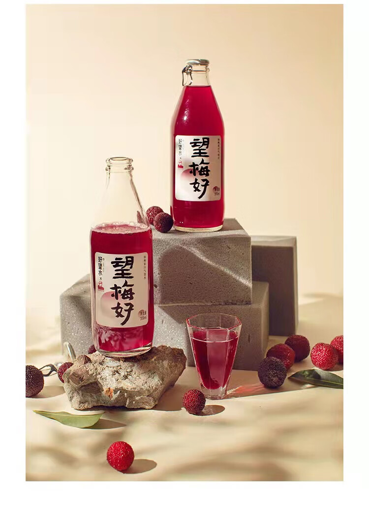 好望水泡水果汁饮料 望梅好 300ml*6瓶/箱