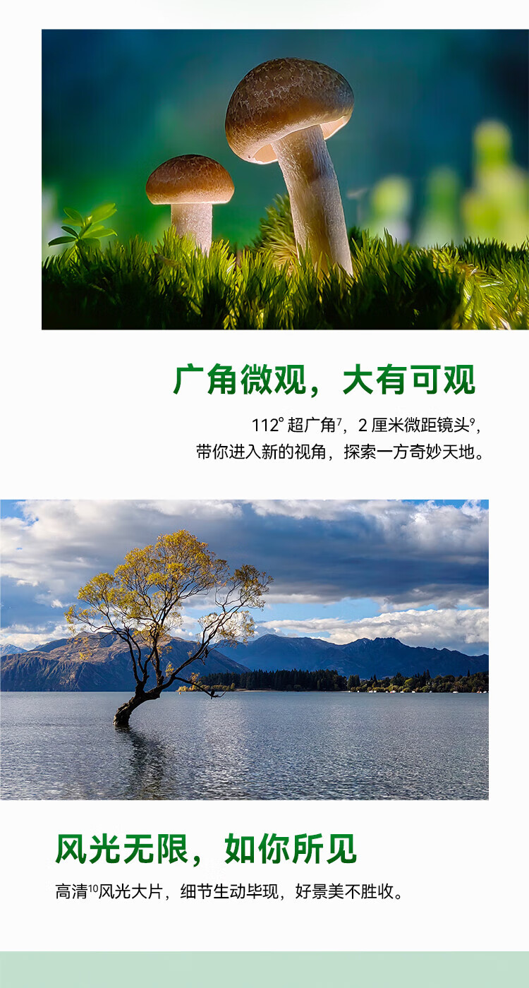 华为 前置6000万人像双摄 后置5000万超感知影像 256GB 11号色 华为鸿蒙智能手机 nova11pro 256G 11号色