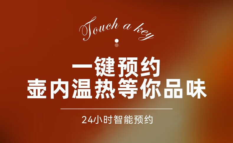 艾贝丽 养生壶热水壶烧水壶花茶壶家用办公室 ABL-YSH011 浅绿色