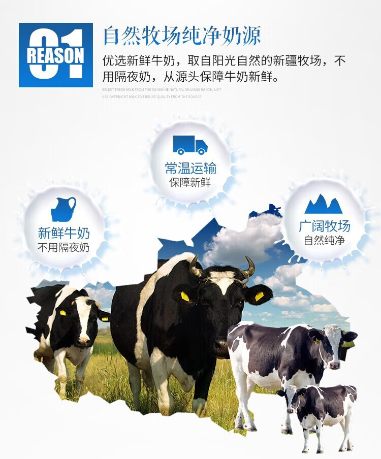 天润（TERUN）纯牛奶佳丽小白 180g*16袋