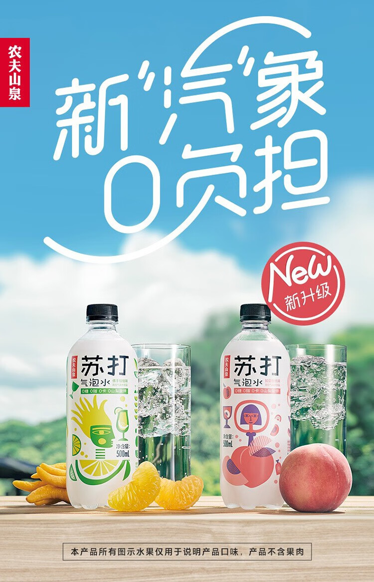 农夫山泉茶π礼盒装（混合口味）500ml*9瓶
