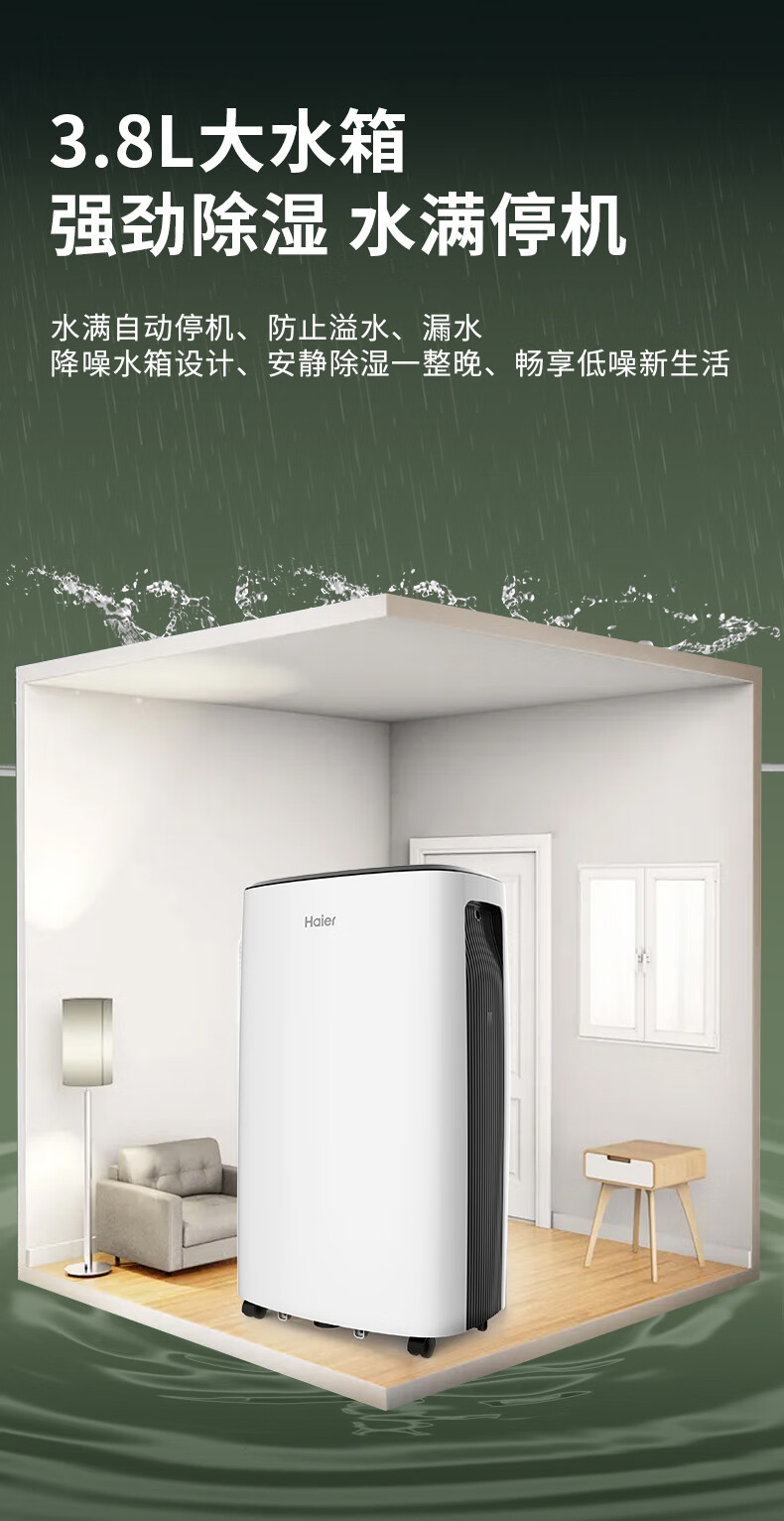 海尔（Haier）除湿机/抽湿机 除湿量22升/天 家用轻音 净化吸湿器地下室档案室干燥机 干衣机 DE22J
