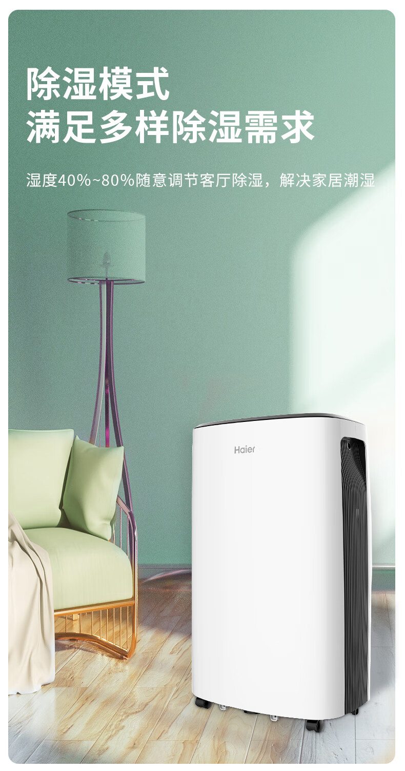 海尔（Haier）除湿机/抽湿机 除湿量22升/天 家用轻音 净化吸湿器地下室档案室干燥机 干衣机 DE22J