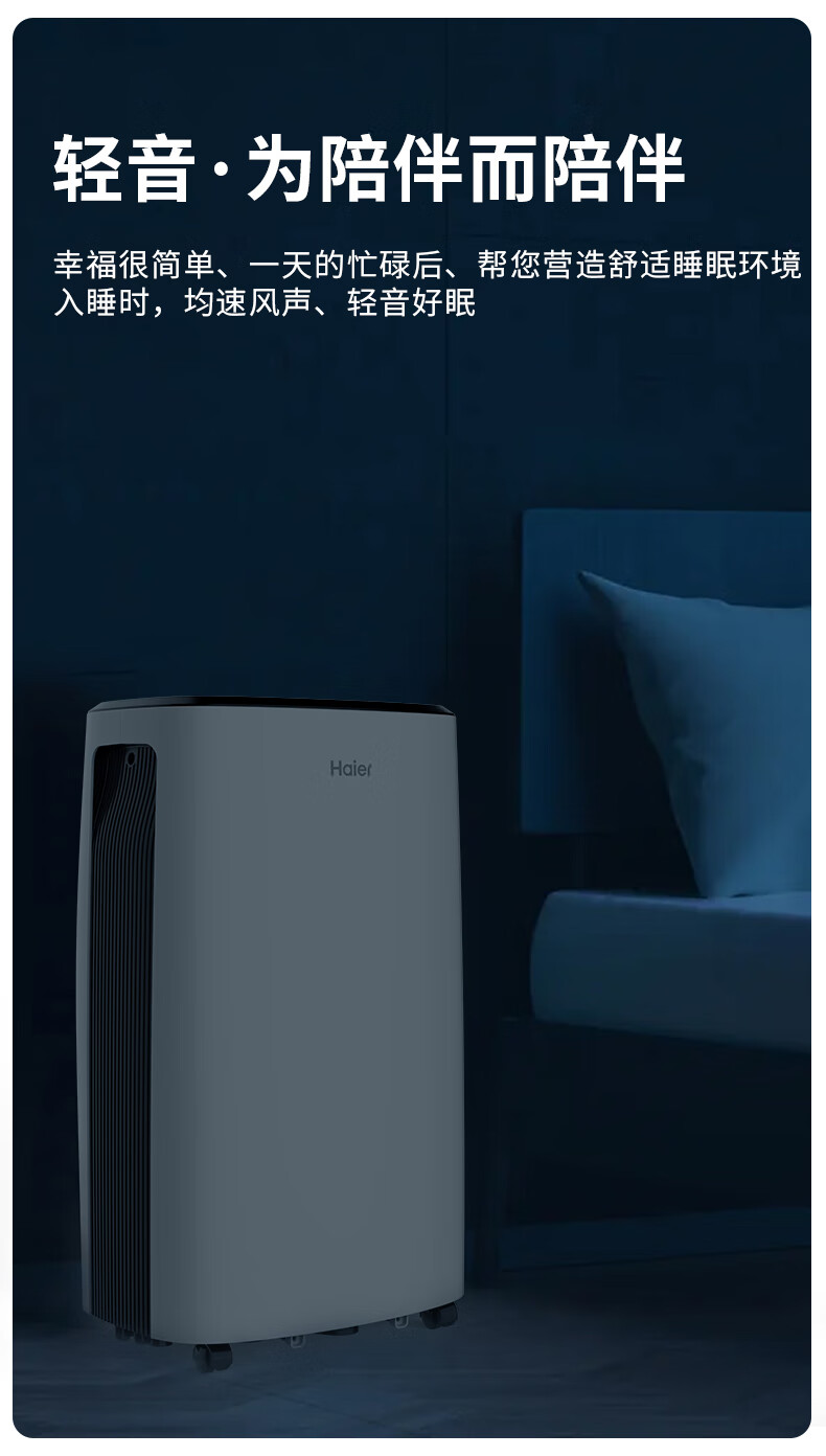 海尔（Haier）除湿机/抽湿机 除湿量22升/天 家用轻音 净化吸湿器地下室档案室干燥机 干衣机 DE22J