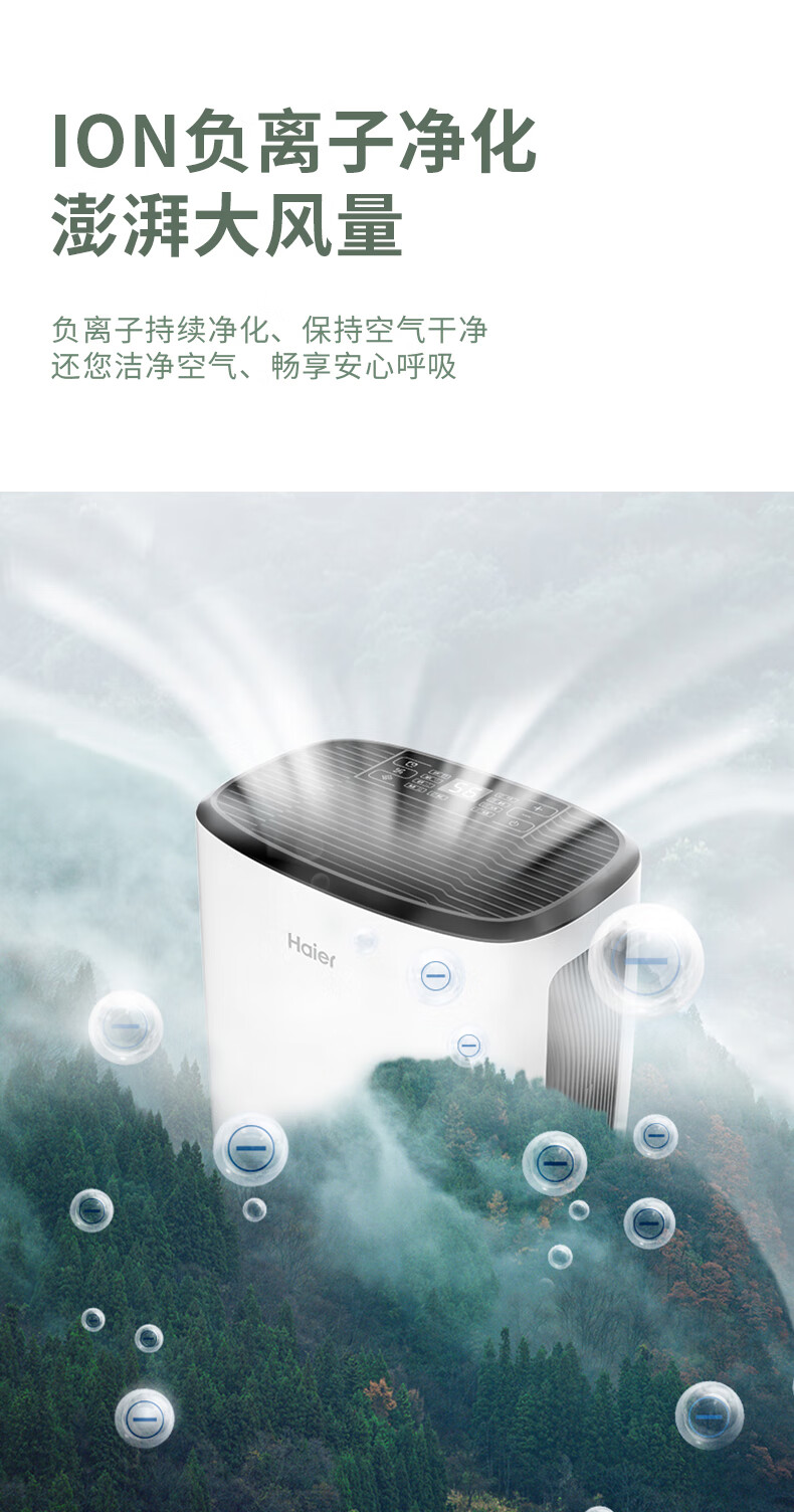 海尔（Haier）除湿机/抽湿机 除湿量22升/天 家用轻音 净化吸湿器地下室档案室干燥机 干衣机 DE22J