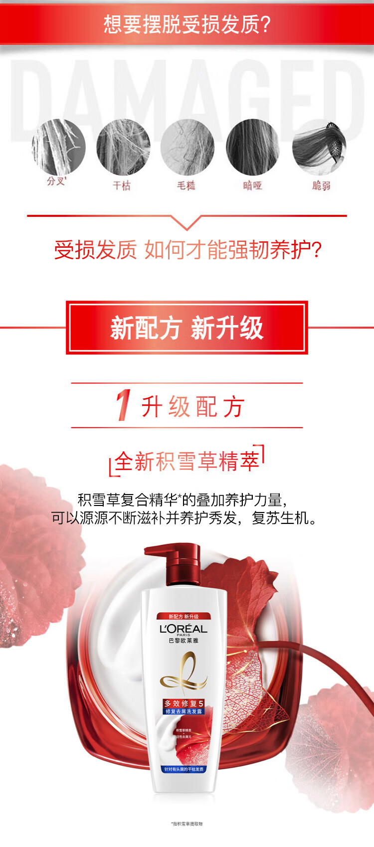 欧莱雅修复受损去屑防分叉 多效修复去屑洗发露700ml