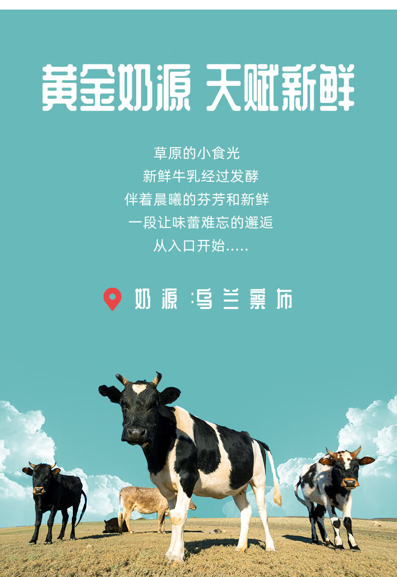 兰格格 益生菌酸奶酸牛奶 低温八旗菌凝酪760g*2桶