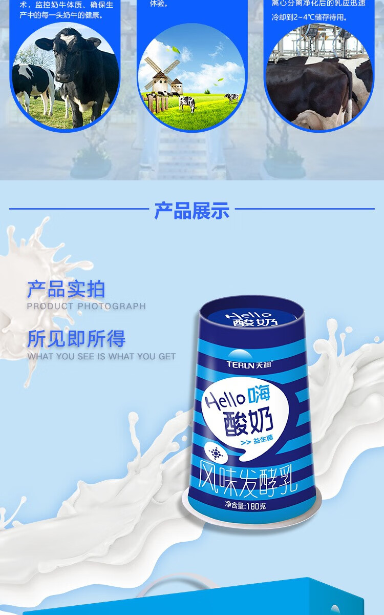天润（TERUN）低温酸牛奶益生菌HELLO 纸杯 原味益生菌杯装180g*12杯