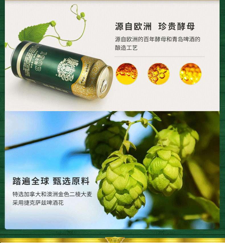 青岛啤酒（TSINGTAO）奥古特12度500ml*12罐啤