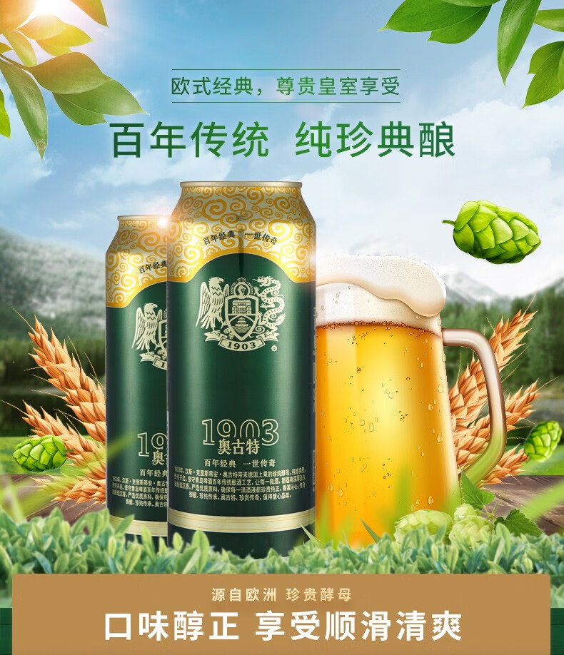 青岛啤酒（TSINGTAO）奥古特12度500ml*12罐啤