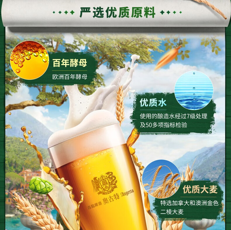 青岛啤酒（TSINGTAO）奥古特12度500ml*12罐啤